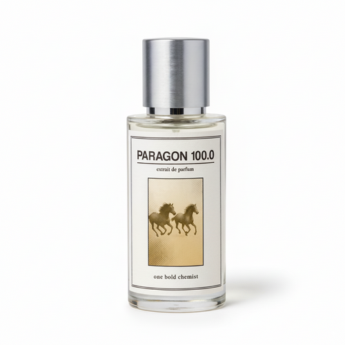 Paragon 100.0 produktbilde 1