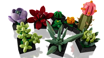 LEGO® Botanicals Sukkulenter 10309 – Utstillingssett for Voksne