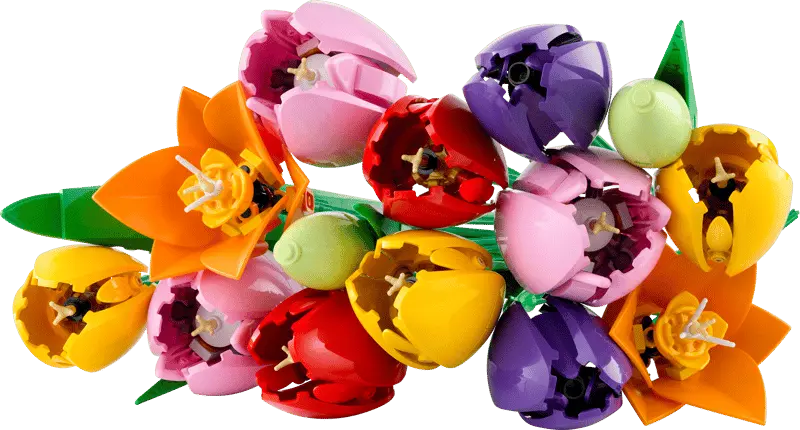 LEGO® Botanicals Tulipanbukett 11501 – Fargerikt Byggesett