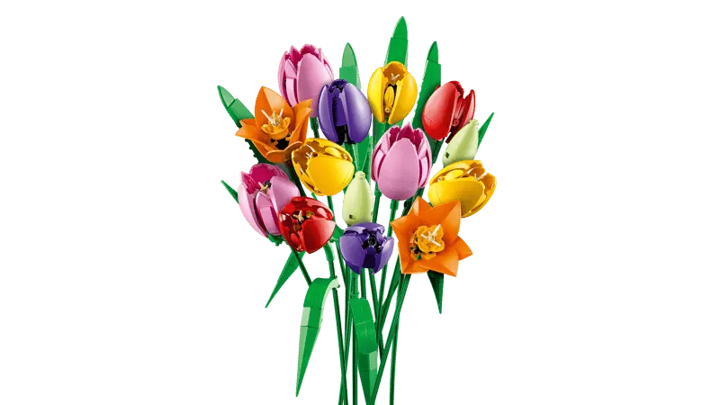 LEGO® Botanicals Tulipanbukett 11501 – Fargerikt Byggesett