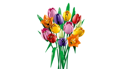 LEGO® Botanicals Tulipanbukett 11501 – Fargerikt Byggesett