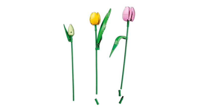 LEGO® Botanicals Tulipanbukett 11501 – Fargerikt Byggesett