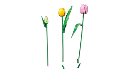 LEGO® Botanicals Tulipanbukett 11501 – Fargerikt Byggesett