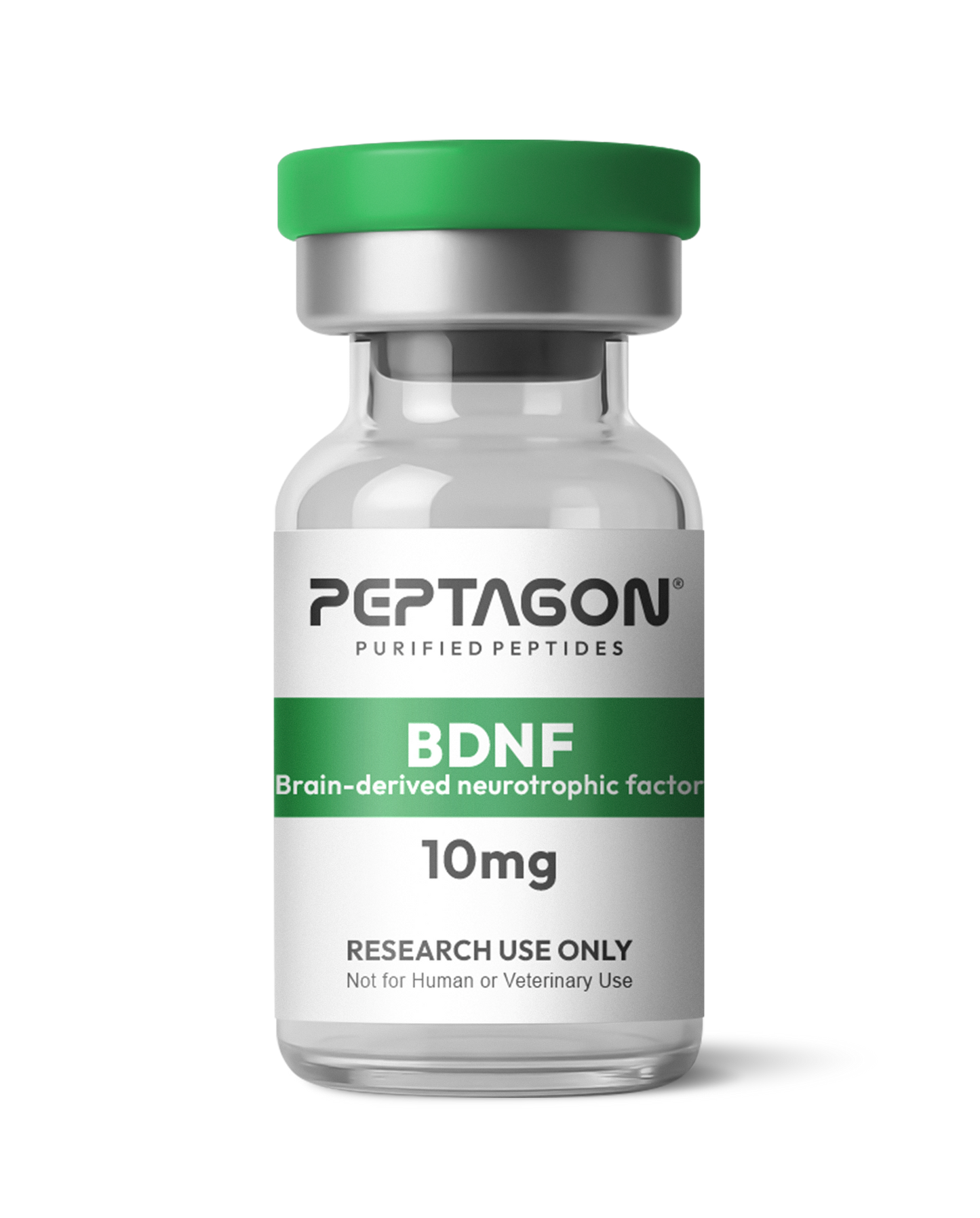 Peptagon BDNF Research Protein – 10mg