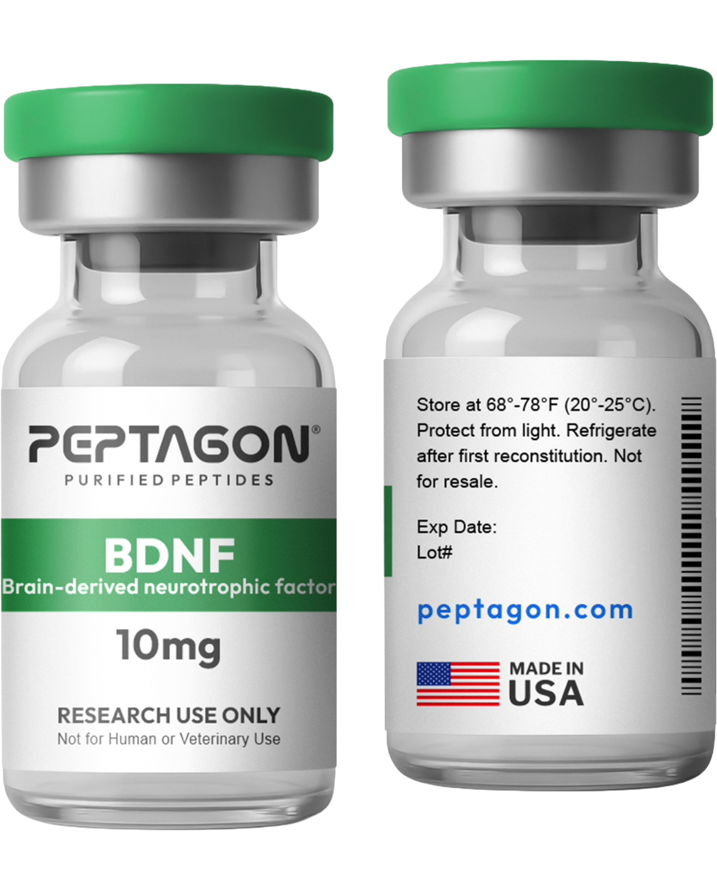 Peptagon BDNF Research Protein – 10mg – official product image 2