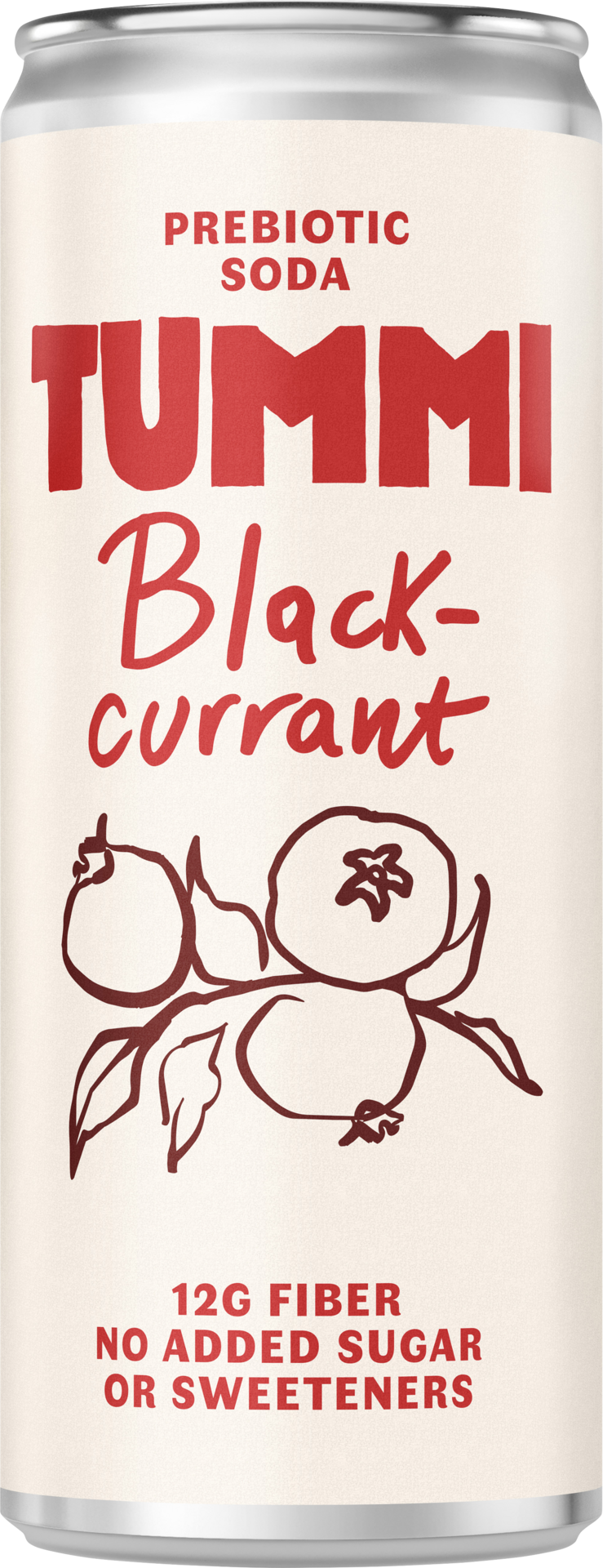TUMMI Blackcurrant 24 x 33 cl storpakke